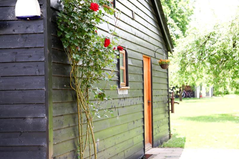 Wilderness B&B 3 Self Contained Rooms Nr Sissinghurst Headcorn Екстериор снимка